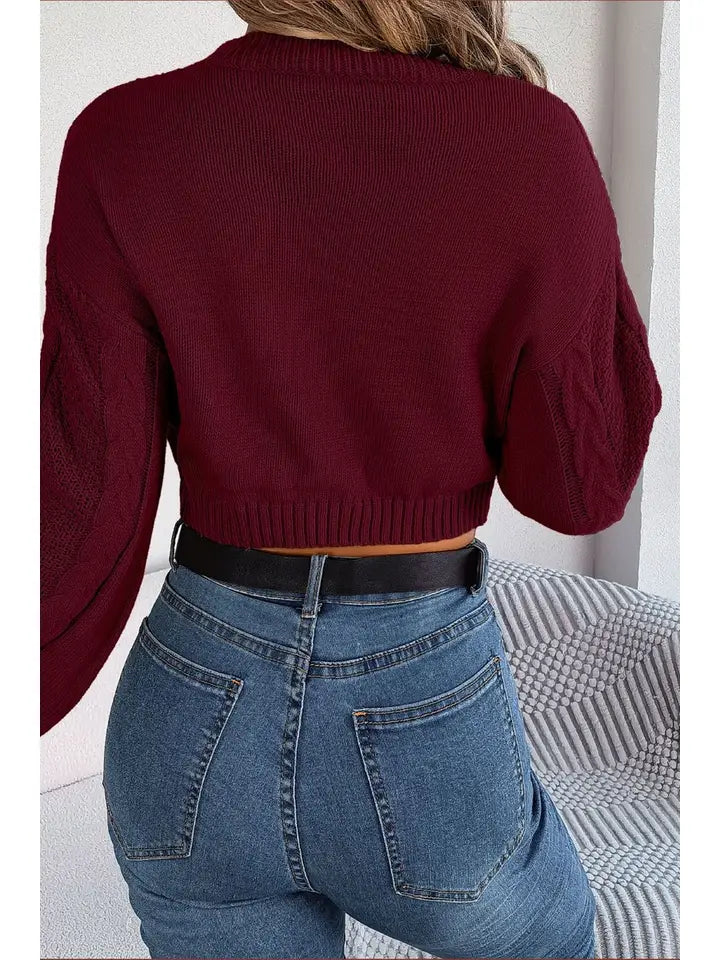 Long Sleeved Crop Pullover Sweater