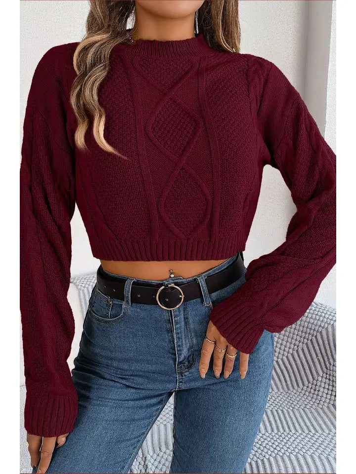 Long Sleeved Crop Pullover Sweater