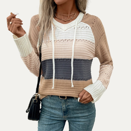 Multicolor Long Sleeve Hooded Pieced Knit Sweater