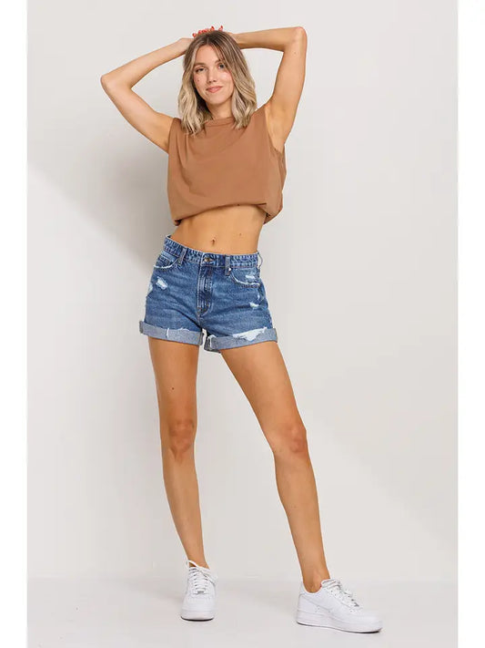 High Rise Distressed Shorts